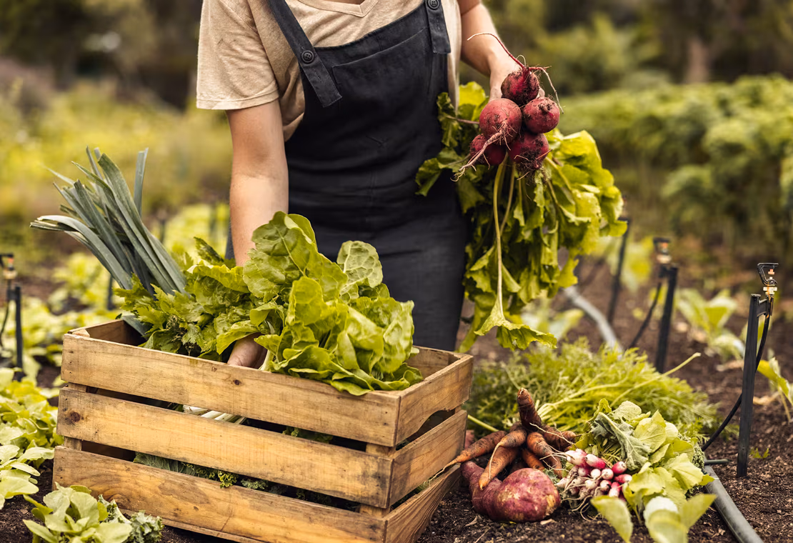 Zero waste - en ny livsfilosofi?