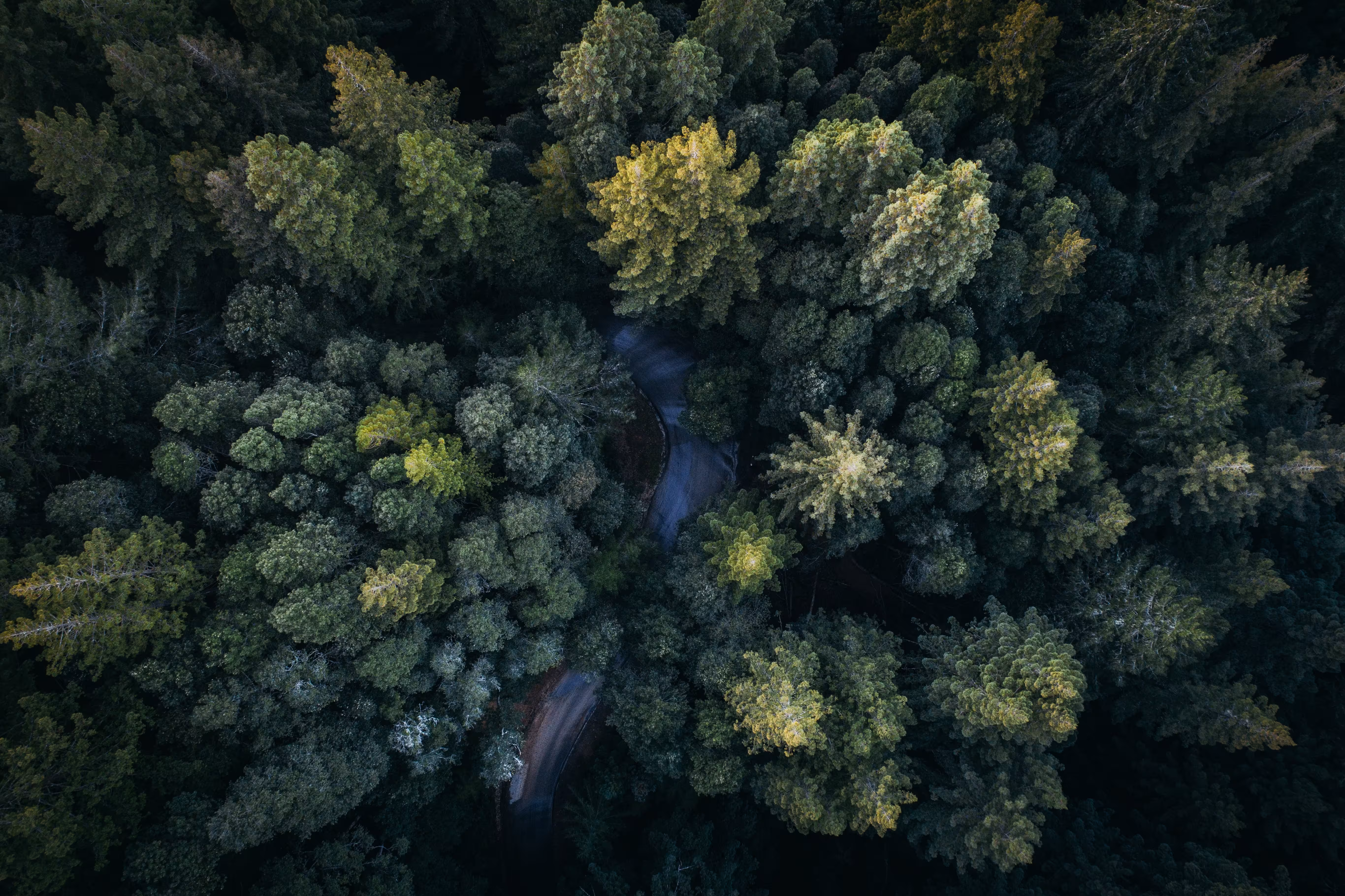 Intrum Landscapes 001 RF (1)