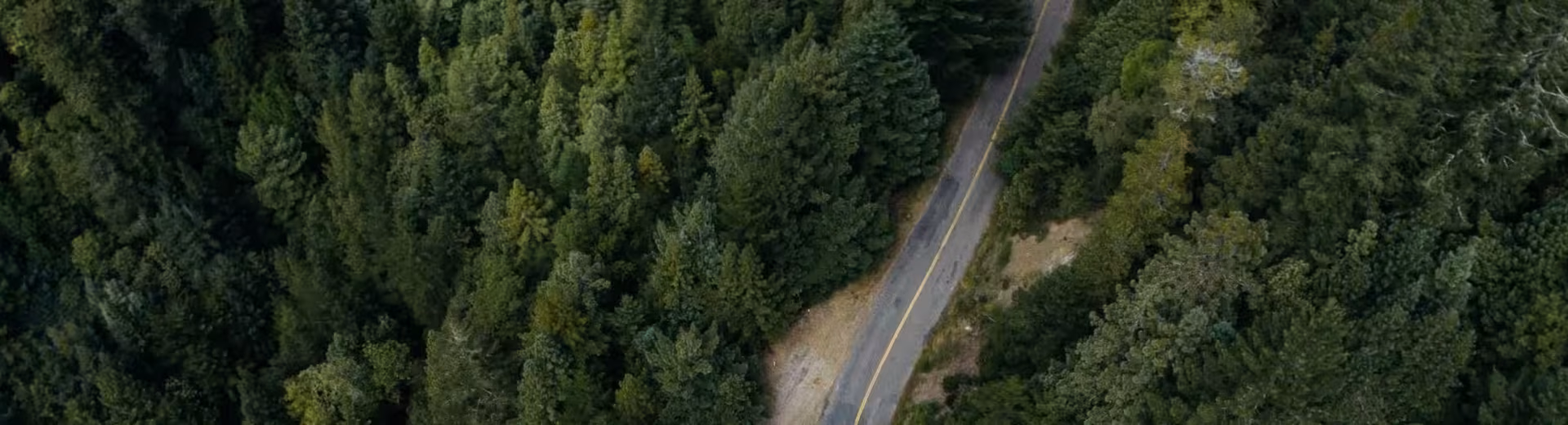 Lokal verksamhet, global närvaro